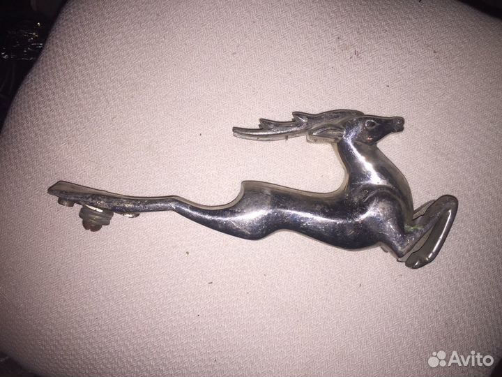 Олень на Волгу 21