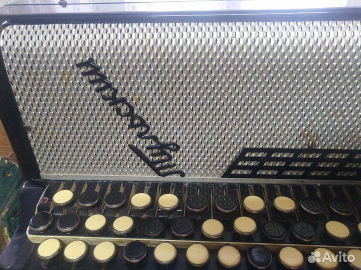 Баян тульский