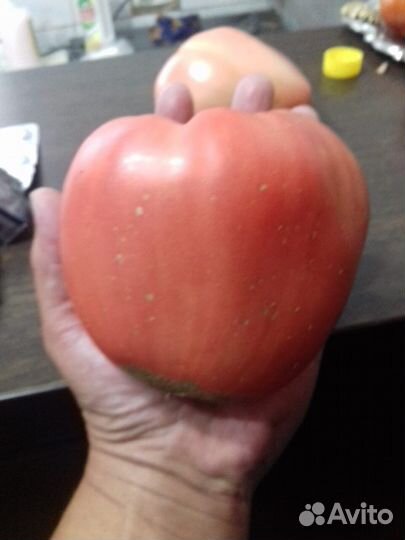 Семена сортовых овощей