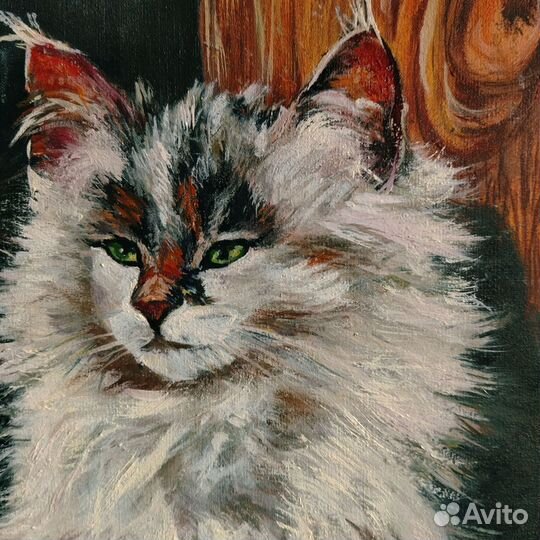 Белый кот картина маслом на холсте 40х60 см