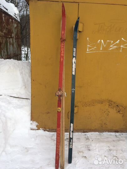 Беговые лыжи