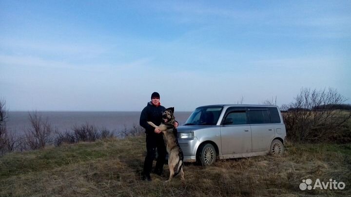 Рем комплект