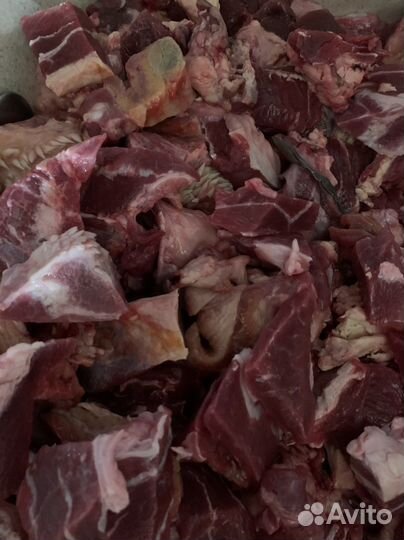 Говяжья обрезь с головы для собак