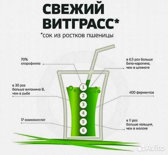 Витграсс (смузи, коктейли)