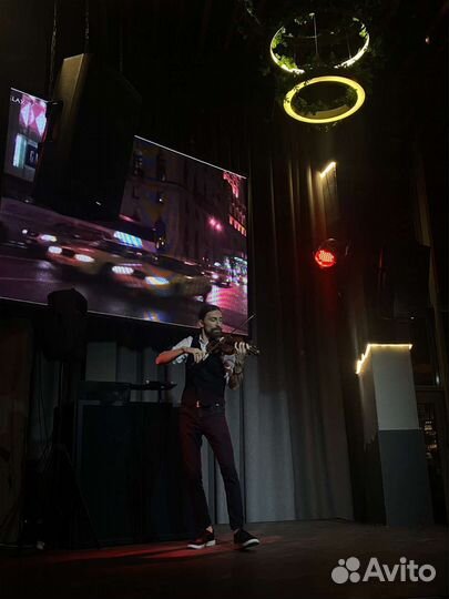 Скрипка на праздник