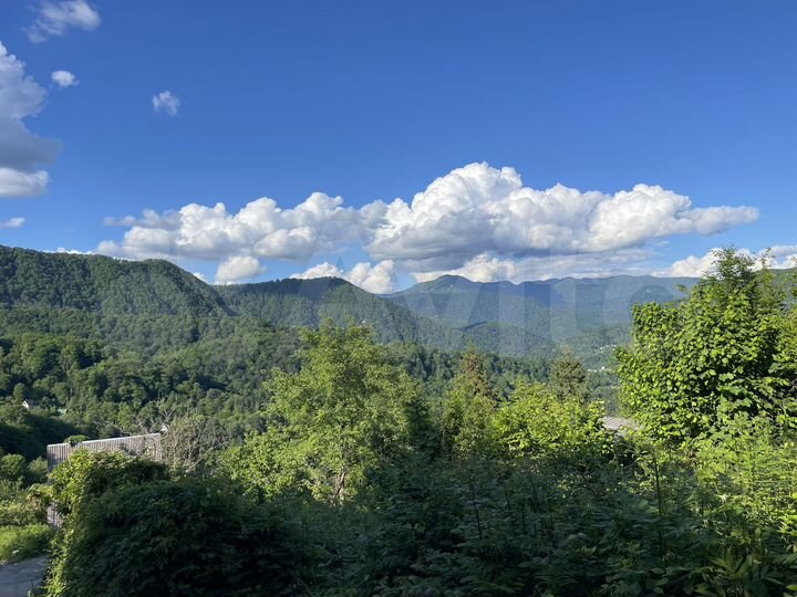 Участок 3,1 сот. (СНТ, ДНП)