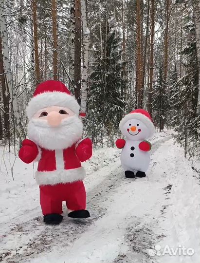 Медвежья семья