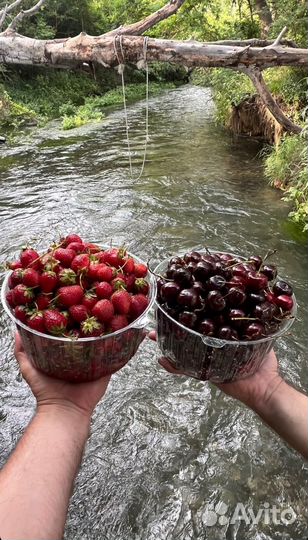 Туры по Дагестану