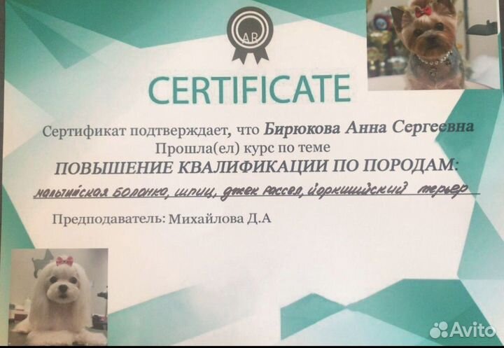 Груминг кошек и собак