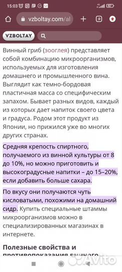 Гриб винный