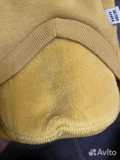 Худи для мелких собачек