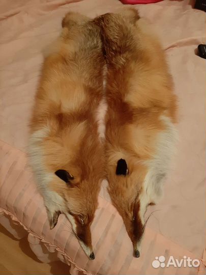 Натуральный мех лисы