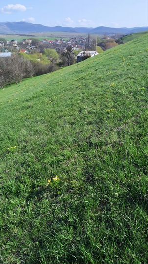 Участок 6 сот. (ИЖС)