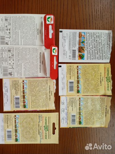 Рассада томатов для теплиц