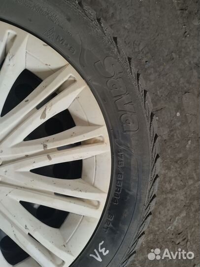 Sava Eskimo Stud 175/65 R14