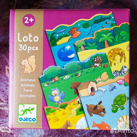 Настольные игры Wonderworld, Djeco,Bondibon