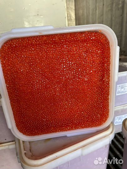 Красная икра опт