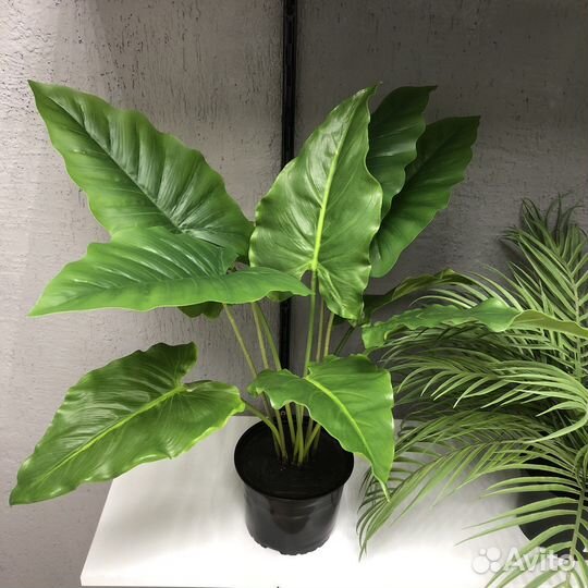 Искусственные растения