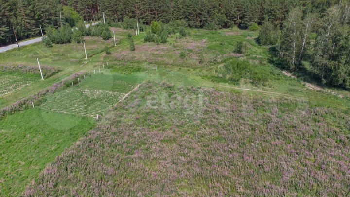 Участок 7,5 сот. (ИЖС)