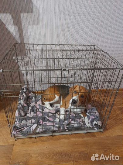 Клетка вольер для животных