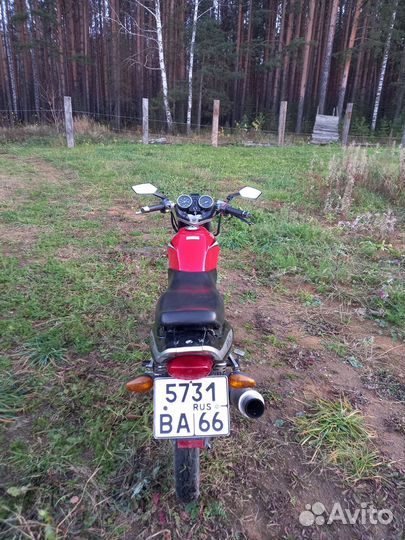 Patron aero 125