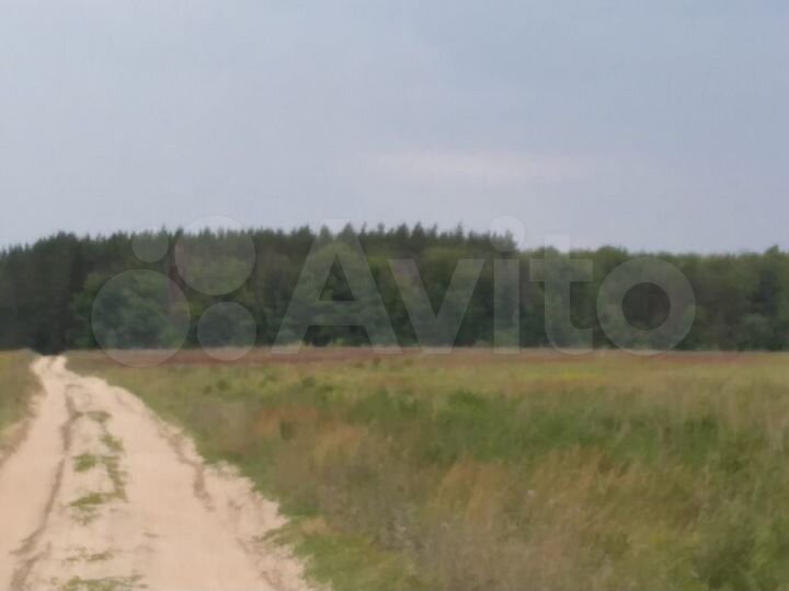 Участок 12,28 га (СНТ, ДНП)