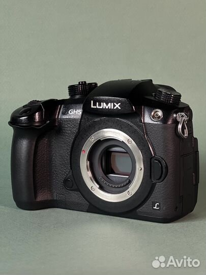 Panasonic gh5
