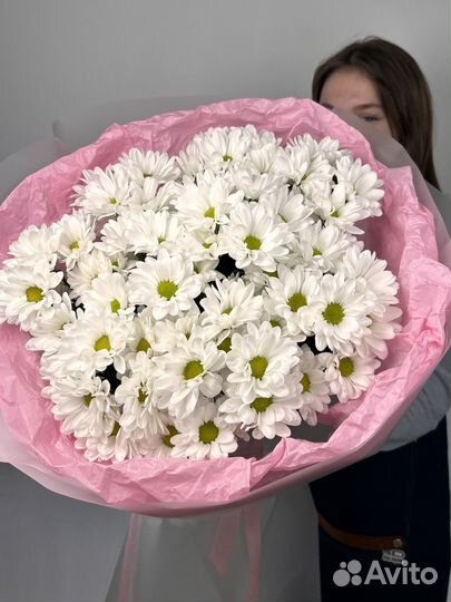 Хризантемы с доставкой в Краснодаре