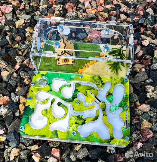 Муравьиная ферма (Формикарий) Стандарт