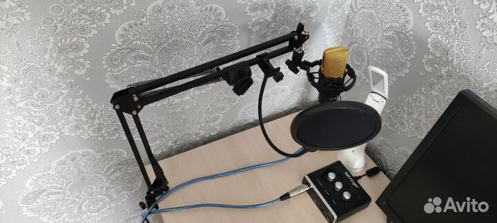 Behringer u phoria UM2 (Набор для звукозаписи)