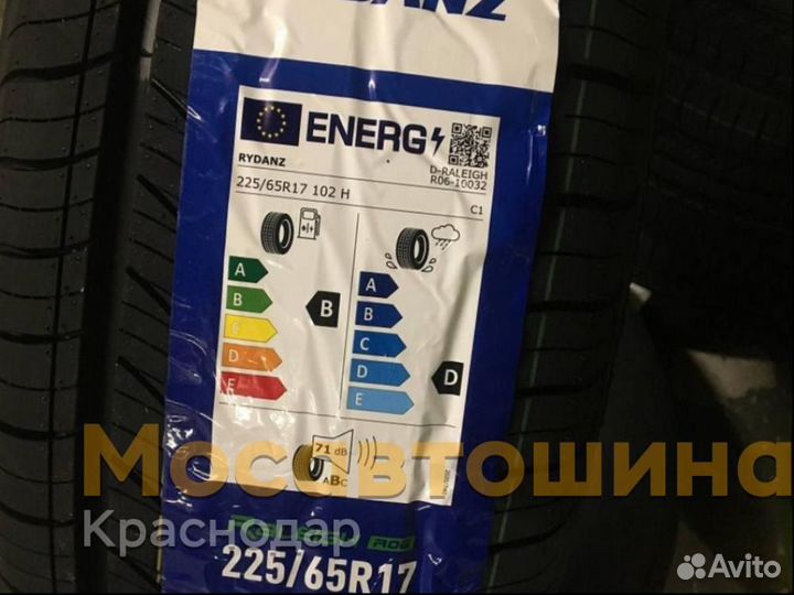 Rydanz Raleigh R06 225/65 R17 102H