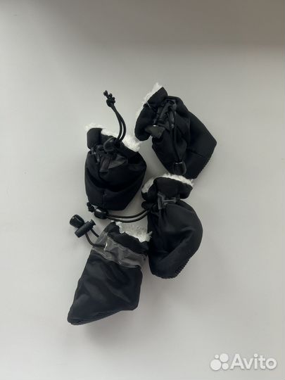 Одежда для собак