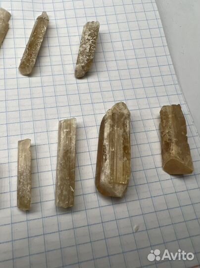 Дамбуриты Малхан