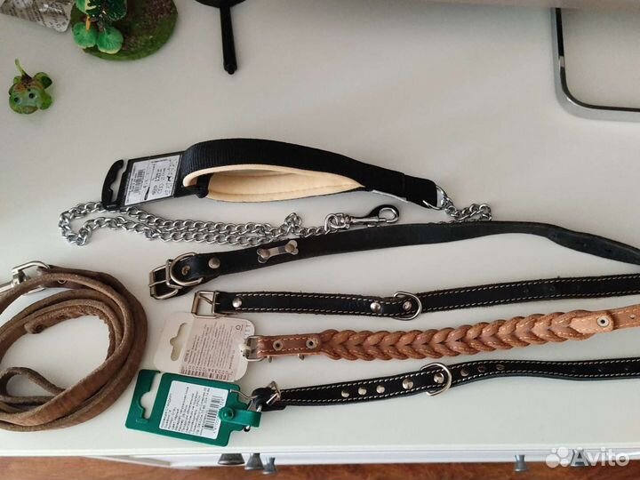 Ошейники и поводки для собак