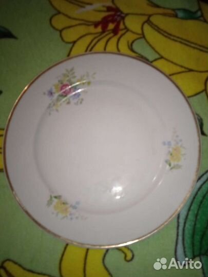 Тарелка, СССР