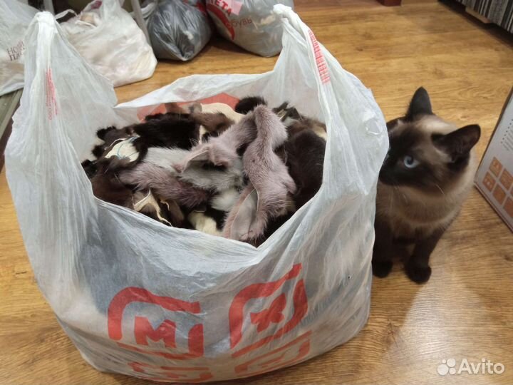 Хвост норки микс