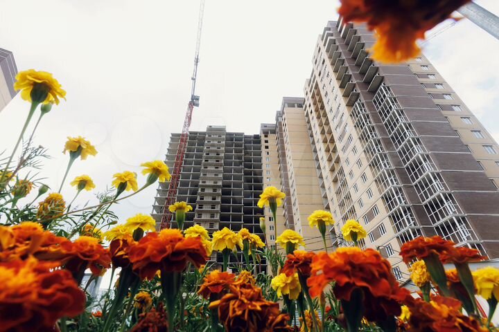 1-к. квартира, 42,2 м², 16/22 эт.