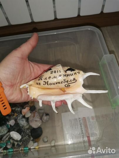 Для аквариума