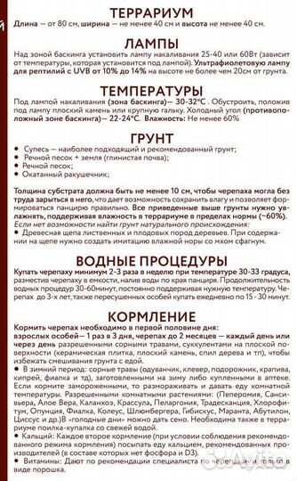 Черепаха своего (домашнего) разведения