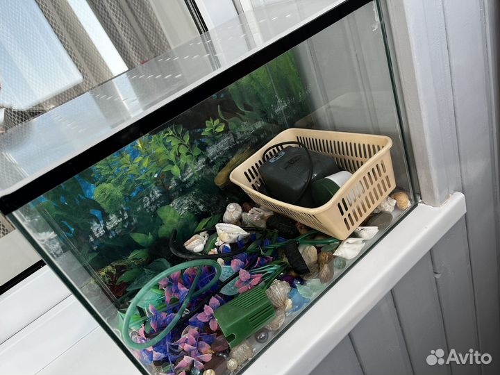 Аквариум