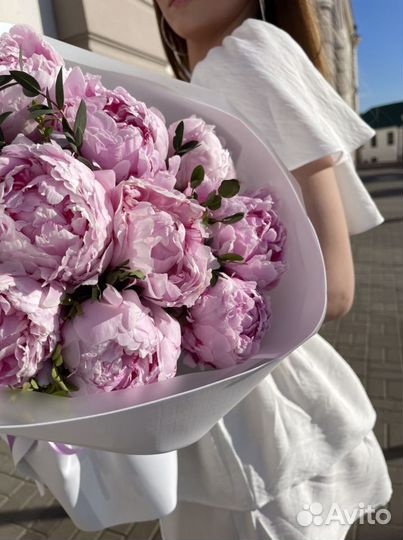 Пионы сара бернар с доставкой