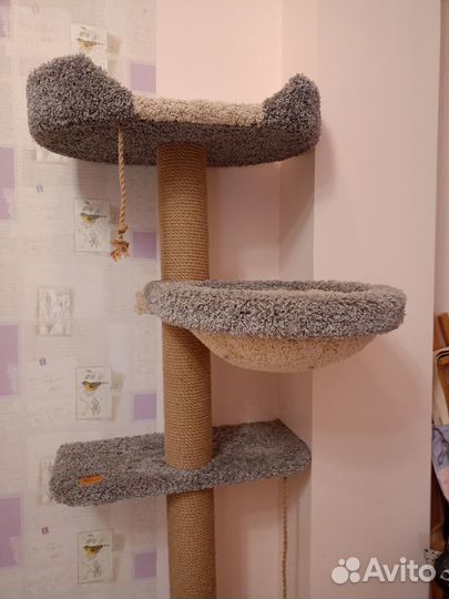 Когтеточка домик для кошки бу