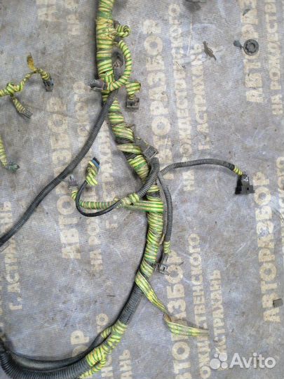 Проводка подкапотная Daewoo Nexia седан F16D3 2008