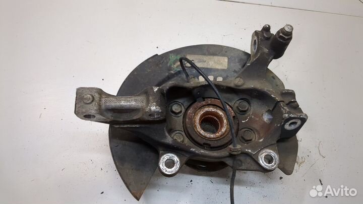 Ступица (кулак, цапфа) Ford Explorer, 2011