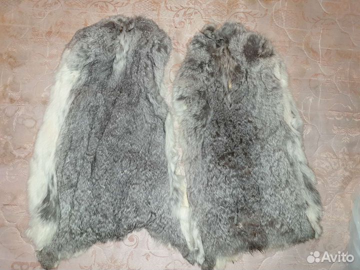 Шкурки кролика