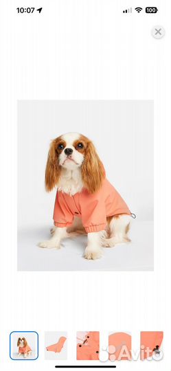 Куртка дождевик для собак средних пород