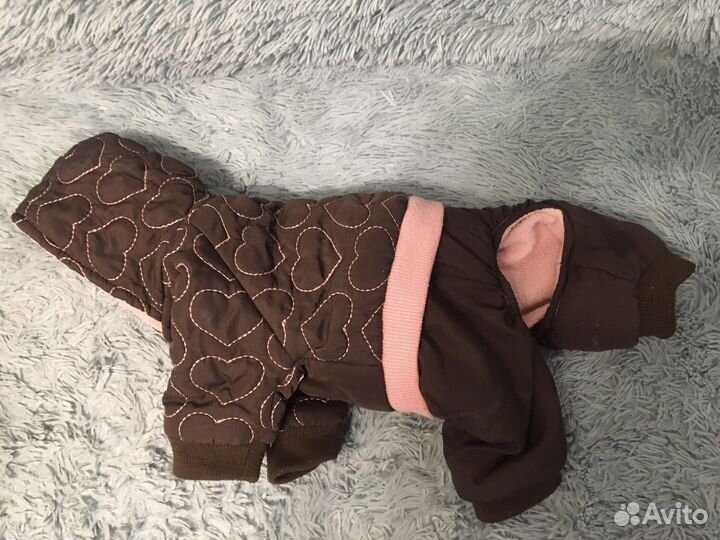 Одежда для собак