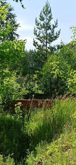 Участок 19 сот. (ИЖС)