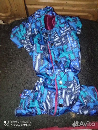 Одежда для собак