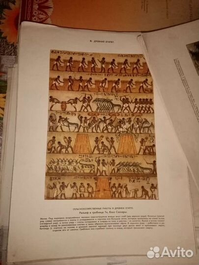 Учебное пособие 1948г